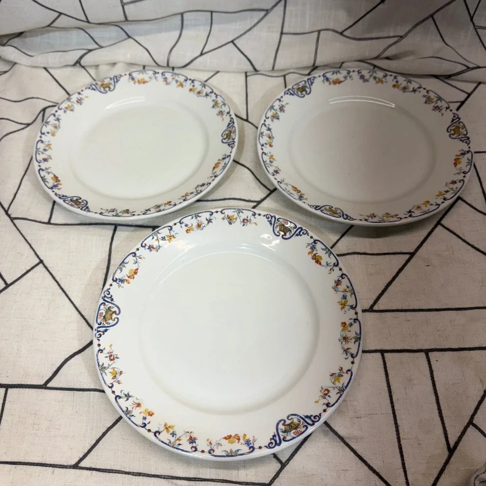 Haviland France Limoges‎ Plates 10
